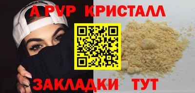 кокс Гатчина